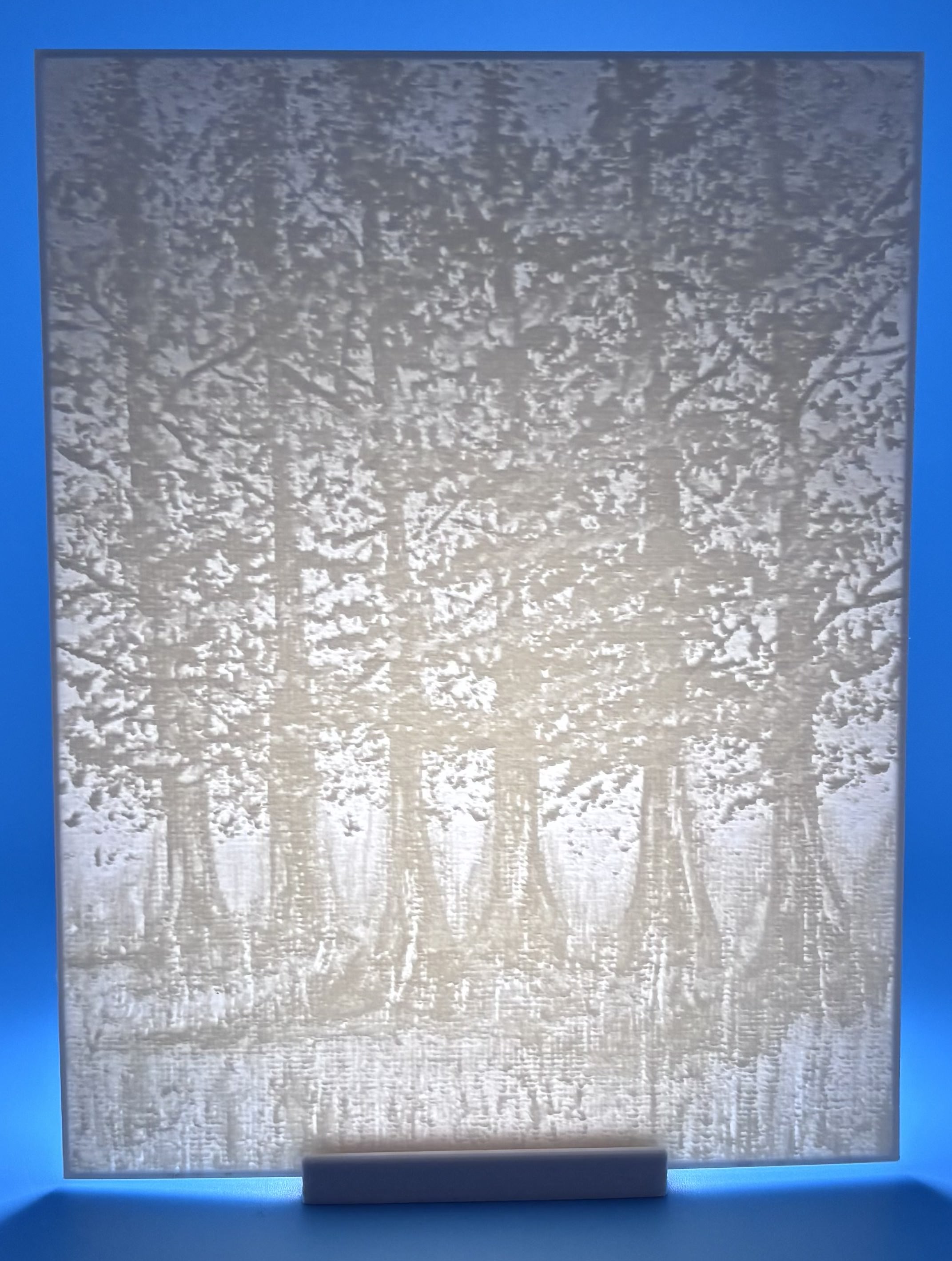 3D printed forest lithophane showing tall trees and a textured woodland scene